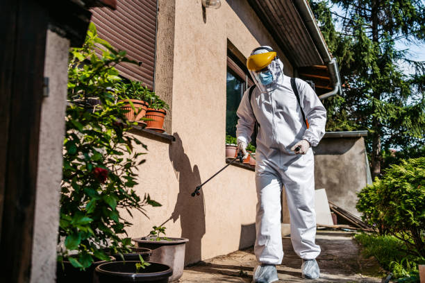 Wasp Removal Services in Garberville, CA
