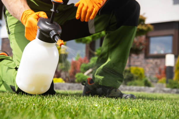  Garberville, CA Pest Control Pros