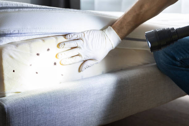 Best Best Pest Control Companies  in Garberville, CA