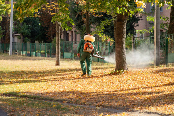 Best Emergency Pest Control  in Garberville, CA