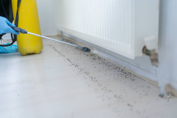 Best Best Pest Control Companies  in Garberville, CA
